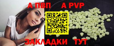 стаф Кингисепп