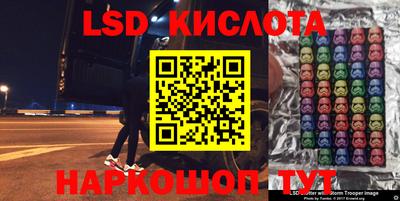 стаф Кингисепп