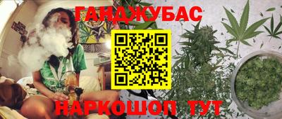 стаф Кингисепп