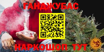 стаф Кингисепп