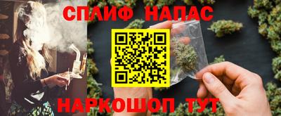 стаф Кингисепп