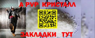стаф Кингисепп