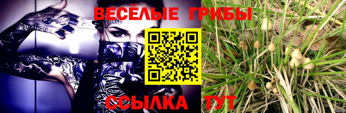 Галлюциногенные грибы мухоморы  Галлюциногенные грибы Psilocybe  Вход с VPN  Вологда 