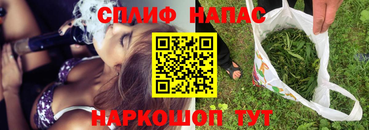 Марихуана конопля Вологда